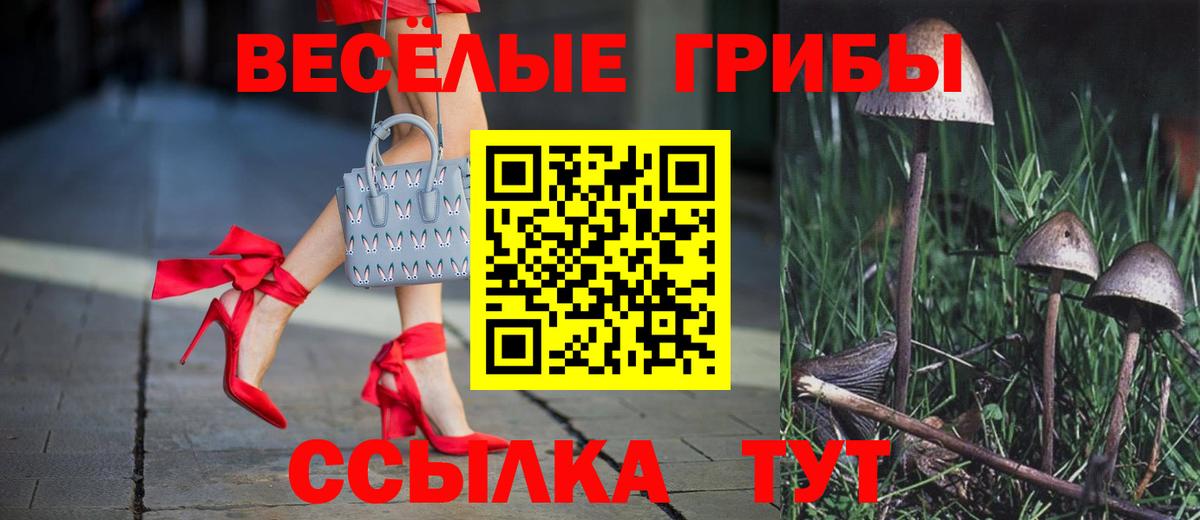 Псилоцибиновые грибы Psilocybine cubensis  цены наркотик  Кубинка  Вход с VPN 
